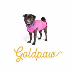 Gold Paw Series